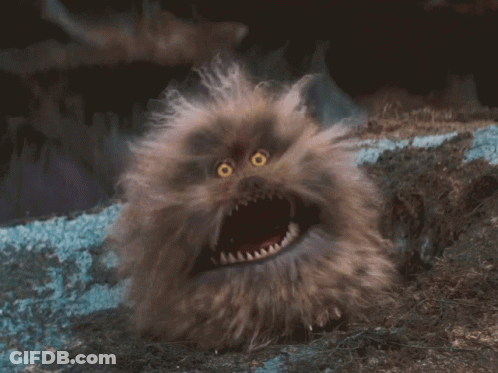 Fluffy Animal With Yellow Eyes And Sharp Teeth Looks Scared GIF