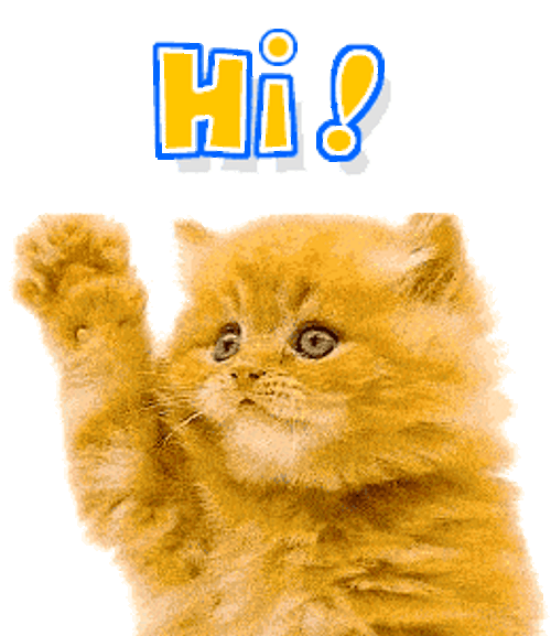 Fluffy Cat Cute Wave GIF