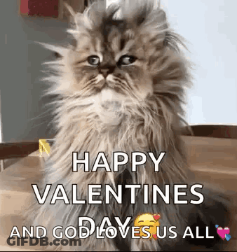 Fluffy Cat Happy Valentines And God Loves Us All GIF