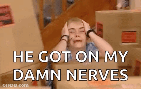 Fluffy Cat Ny Inner Nervous System GIF