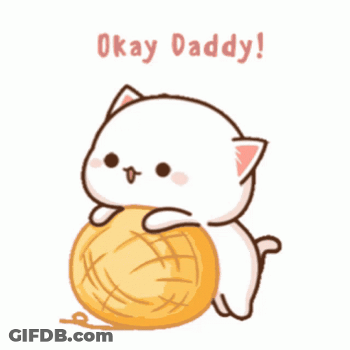 Fluffy Cat Okay Daddy GIF