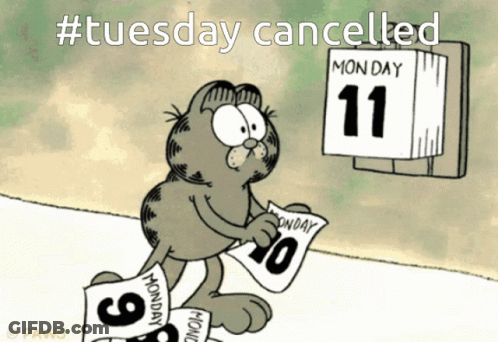 Fluffy Cat On Wooden Table Tuesday After Holiday Weekend GIF