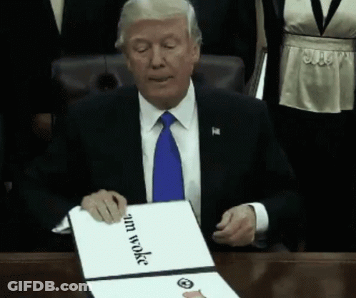 Fluffy Cat Sitting On Wooden Table GIF