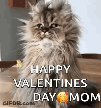 Fluffy Cat Sitting With Happy Valentines Day Mom GIF