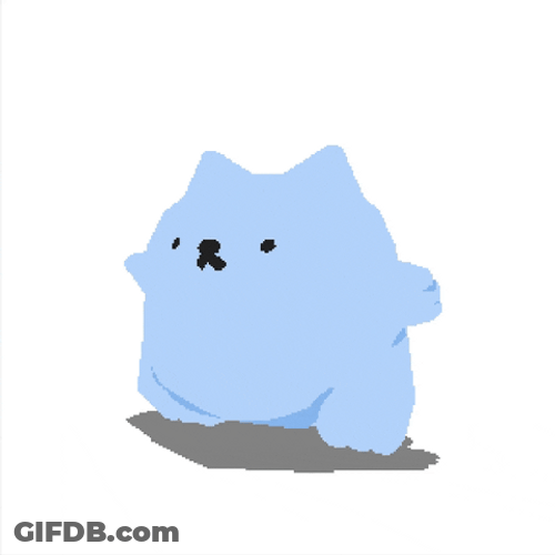 Fluffy Cat Spinning And Jumping GIF
