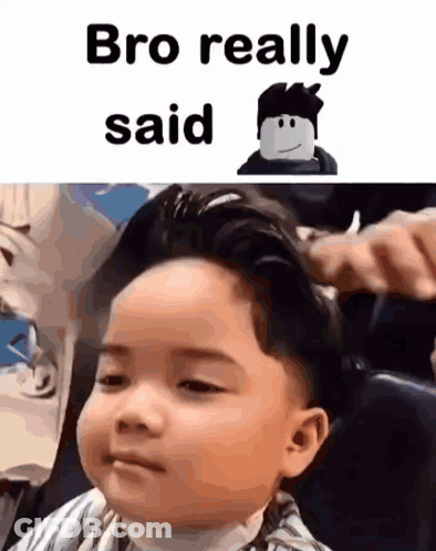 Fluffy Cat Ugh Really GIF