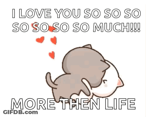 Fluffy Cat Wishing Happy Valentines Day GIF