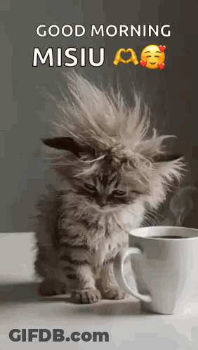 Fluffy Kitten Sitting Next To Cup Of Coffee GIF