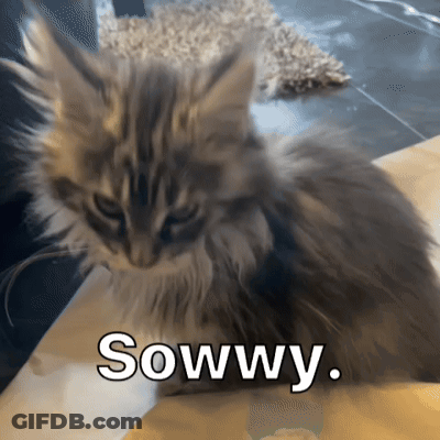 Fluffy Kitten Sowwy GIF