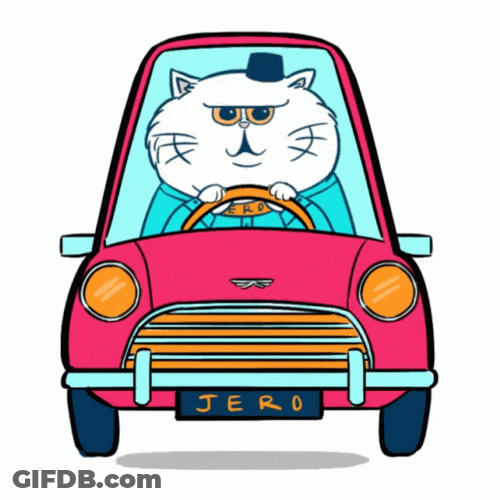 Fluffy White Cat Driving Cartoon GIF
