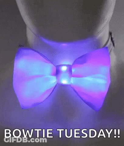 Fluffy White Dog With Red Bow Tie GIF