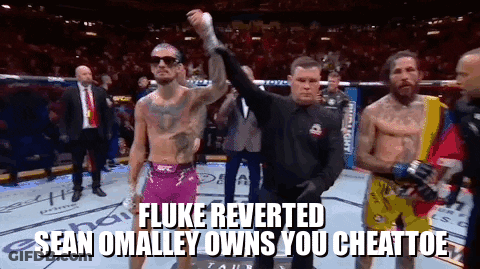 Fluke Reversed Sean O'Malley Owns You Cheattoe GIF