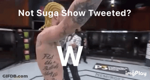 Fluke Reversed Sean O'Malley Owns You Cheattoe GIF