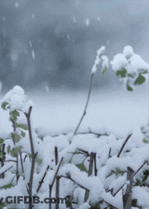 Flurrying Falling GIF