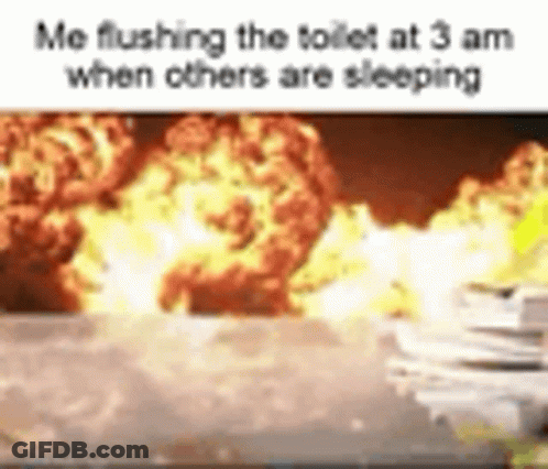 Flushing Toilet At 3 AM Meme GIF