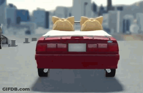 Fluttershy Surrounded By Rabbits And Raccoon GIF