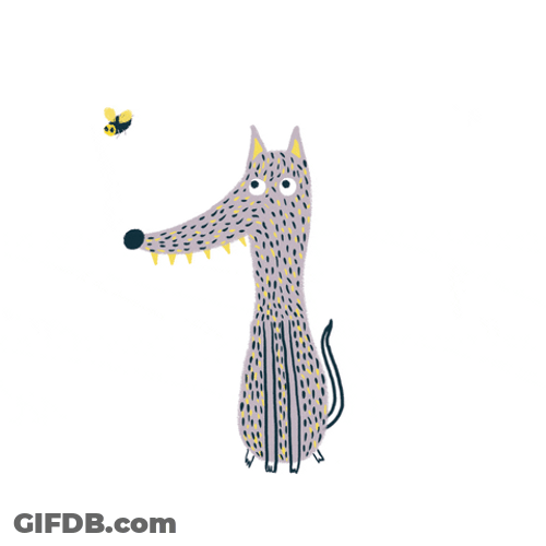 Fly Circling Dog Nose Illustration GIF