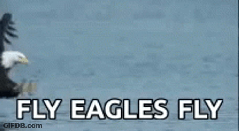Fly Eagles Fly Eagle Catching Fish GIF