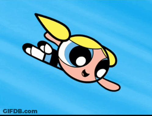 Fly In Santa Hat Every Day's Xmas GIF
