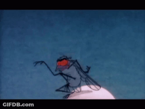 Fly With Red Eyes GIF