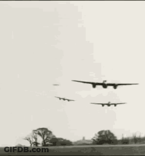 Flying Airplane Group GIF