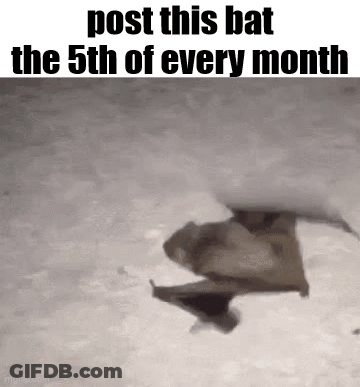 Flying Bat With Post Reminder GIF