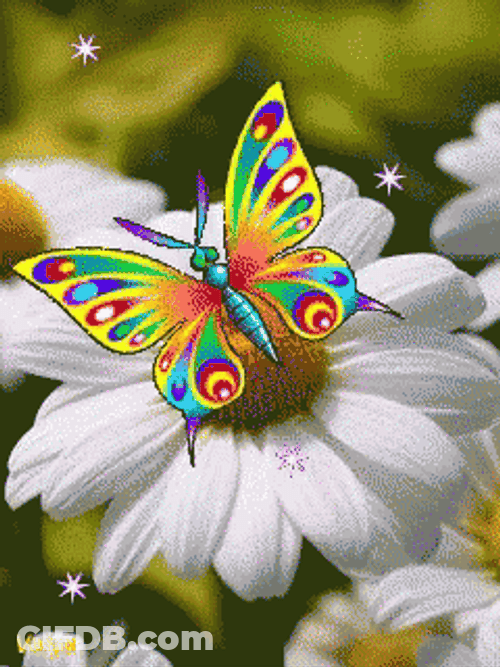Flying Butterfly Animation Daisy GIF