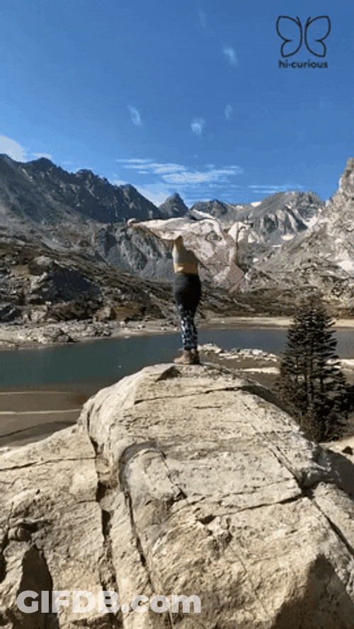 Flying Butterfly Cliff Hi Curious GIF