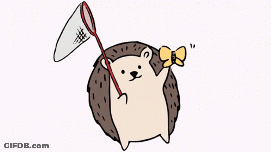 Flying Butterfly Cute Summer Animals Catch GIF