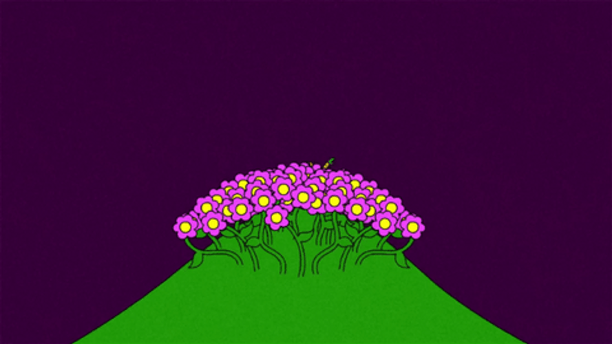 Flying Butterfly Diplo Lsd GIF