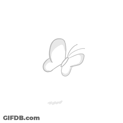 Flying Butterfly Drawing Animation GIF