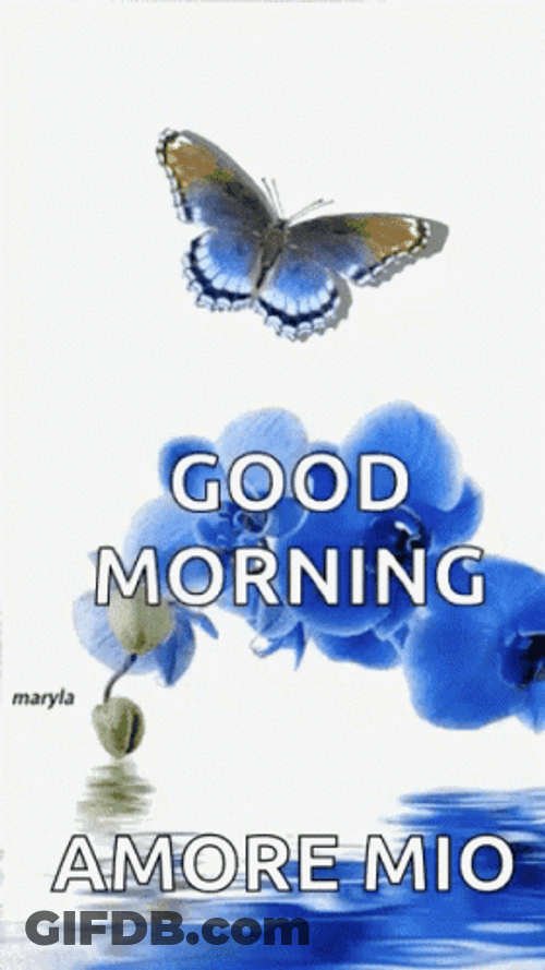Flying Butterfly Good Morning GIF