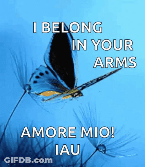 Flying Butterfly I Belong Your Arms GIF
