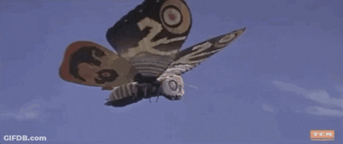 Flying Butterfly Inoshiro Honda Turner Classic GIF