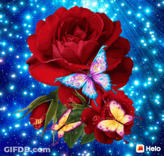 Flying Butterfly Rose Starry GIF
