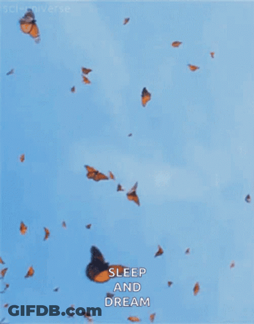 Flying Butterfly Sky Sleep And Dream GIF