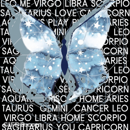 Flying Butterfly Starry Wings GIF