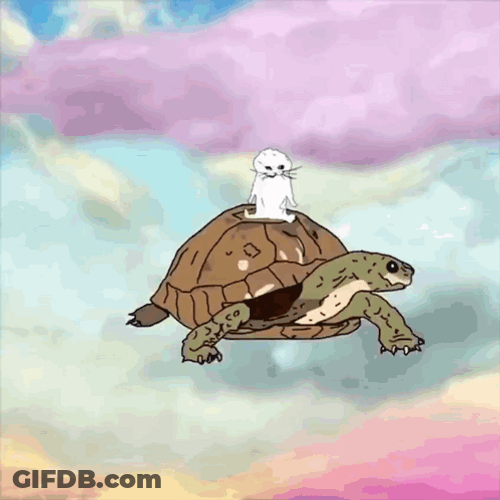 Flying Cartoon Turtle And Cat GIF
