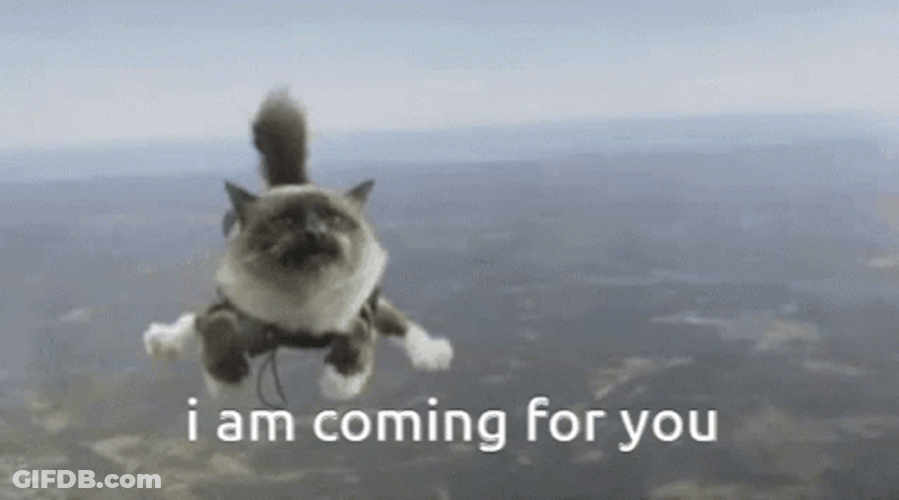 Flying Cat Coming For You Meme GIF