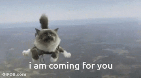 Flying Cat Saying I Am Coming For You GIF