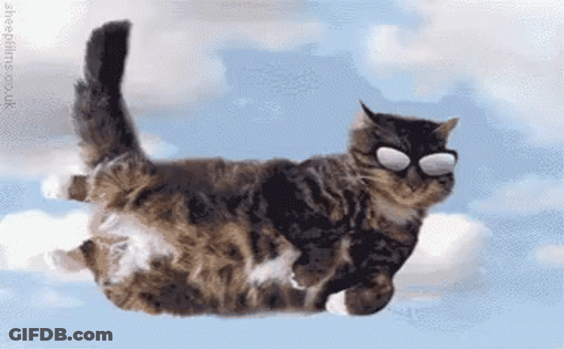 Flying Cat Wearing Cool Shades GIF
