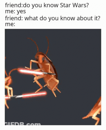 Flying Cockroach With Light GIF