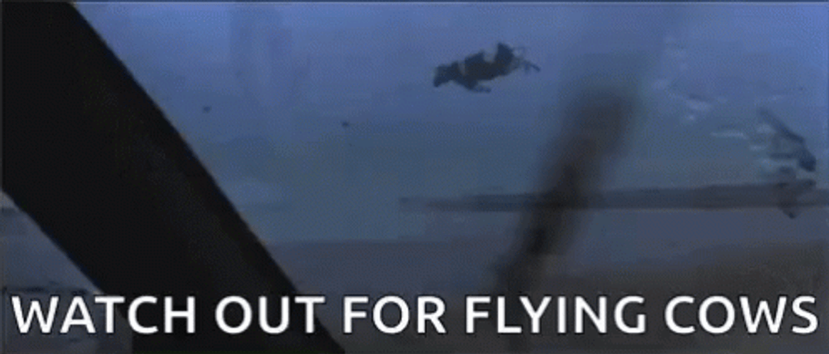 Flying Cows Strong Wind Movie Scene Twister GIF