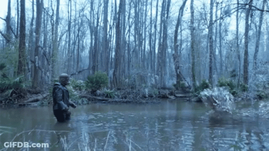 Flying Crocodile From Swamp GIF
