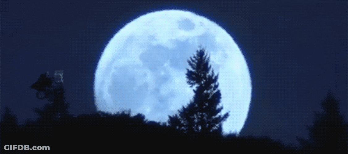 Flying Cycle On Moon Night GIF