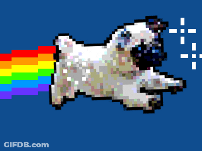 Flying Dog Like Neon Cat GIF