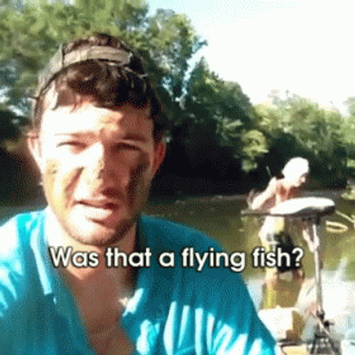 Flying Fish I'm Gonna Need A Bigger Boat GIF