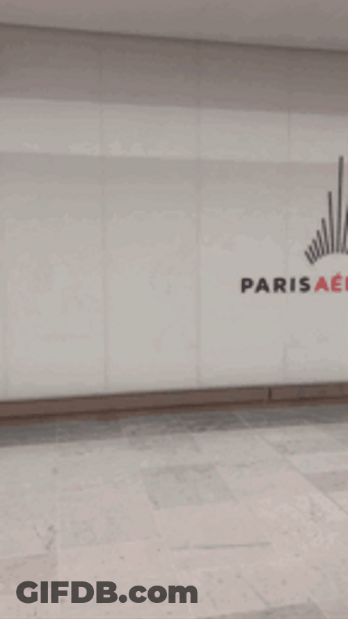 Flying France Paris GIF