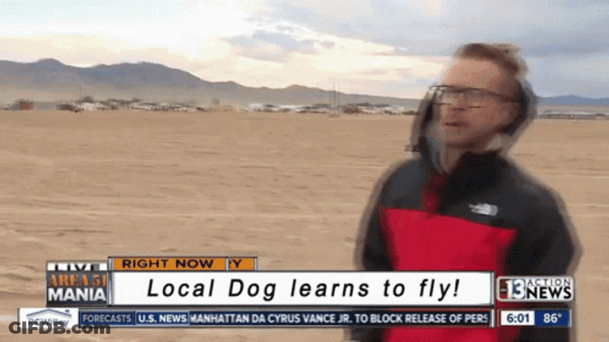 Flying Funny Dog Meme GIF