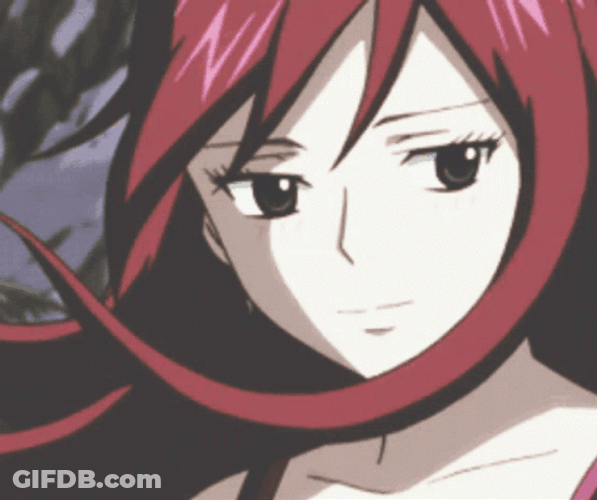 Flying Hair Kawaii Erza Scarlet GIF